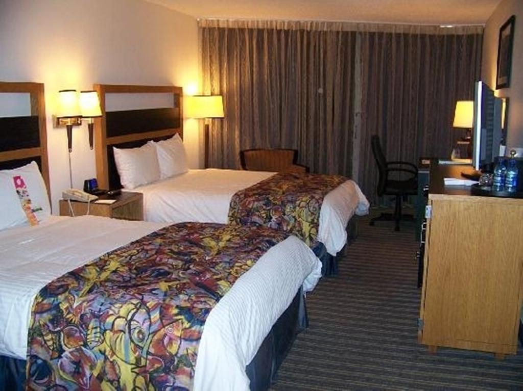 Wyndham Nassau Resort Rum bild